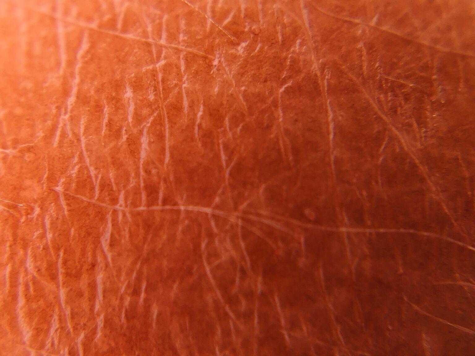 Macro shot of the skin