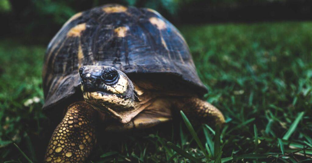 Être solaire : comment apprendre à rayonner malgré les ombres découvrez comment 'radiate' peut transformer votre quotidien grâce à son approche innovante et inspirante. plongez dans un univers où la positivité et la créativité rayonnent à chaque instant.