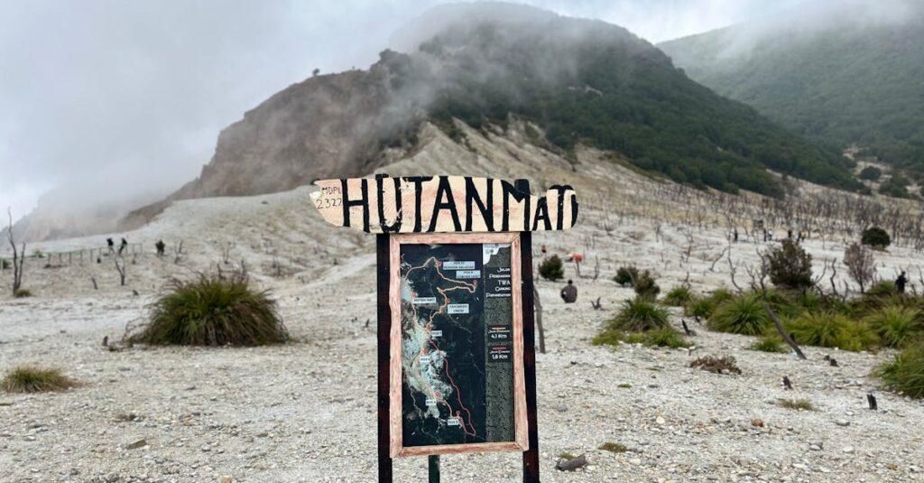 découvrez le mbti (myers-briggs type indicator), un outil d'évaluation psychologique qui permet de mieux comprendre votre personnalité et vos interactions avec les autres. explorez les différents types de personnalité, leurs caractéristiques et comment cette méthode peut vous aider dans votre développement personnel et professionnel.