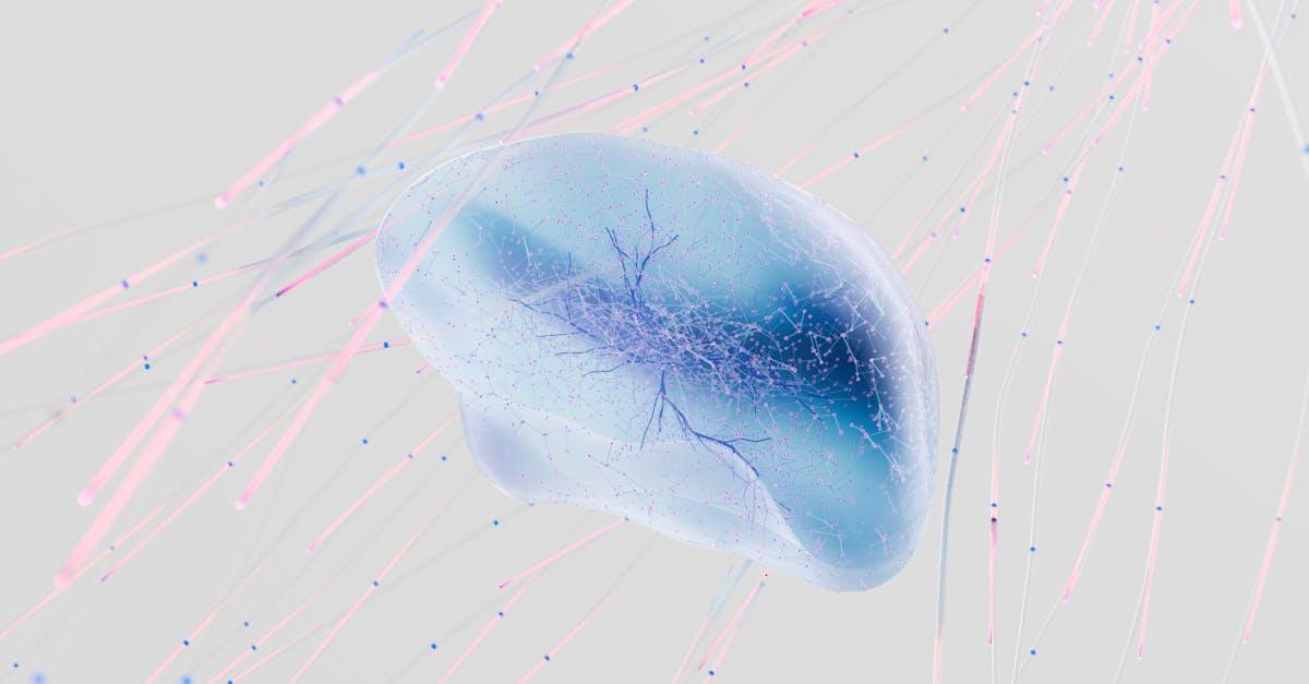 découvrez le fonctionnement des hémisphères cérébraux et leur influence sur les capacités cognitives, les émotions et la personnalité. apprenez comment chaque hémisphère joue un rôle crucial dans notre perception du monde et nos interactions sociales.