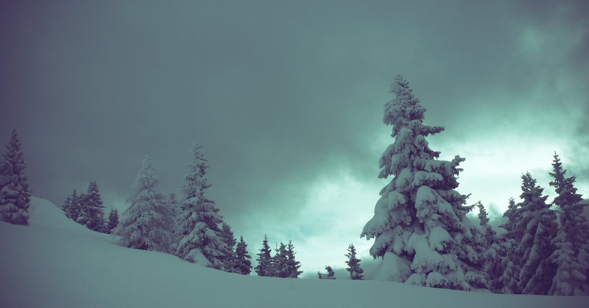 découvrez l'art du silence, un refuge apaisant pour l'esprit et l'âme. explorez comment cultiver des moments de tranquillité dans un monde bruyant et apprendre à apprécier les bienfaits du silence sur votre bien-être.