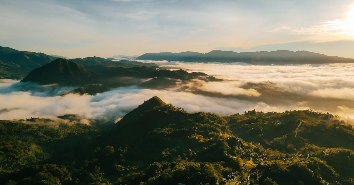 découvrez les causes et solutions du 'brain fog' ou brouillard mental. apprenez comment améliorer votre clarté mentale et votre concentration grâce à des conseils pratiques et des stratégies de bien-être.