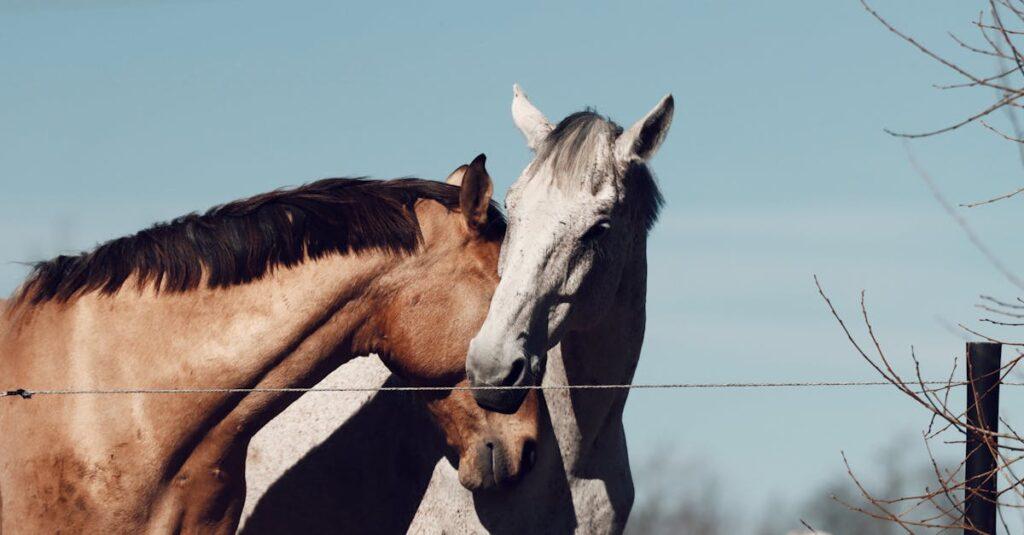 L’importance de l’affectivité dans le développement de l’enfant découvrez le monde de l'affectivité : explorez les émotions, les relations interpersonnelles et l'impact des sentiments sur notre bien-être. apprenez à mieux comprendre vos affects et à les gérer pour enrichir vos interactions et améliorer votre qualité de vie.