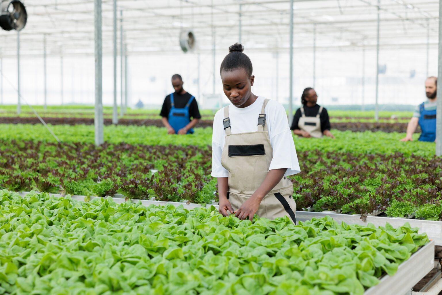 Farm workers using non chemical methods