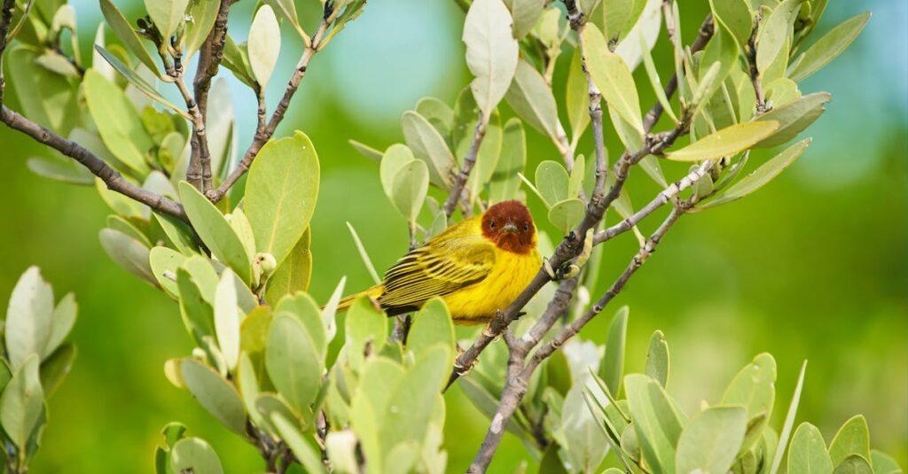 découvrez les causes, symptômes et traitements des petechiae, ces petites taches rouges souvent révélatrices de problèmes de santé. informez-vous sur l'importance de consulter un médecin pour comprendre leur origine et choisir la meilleure prise en charge.