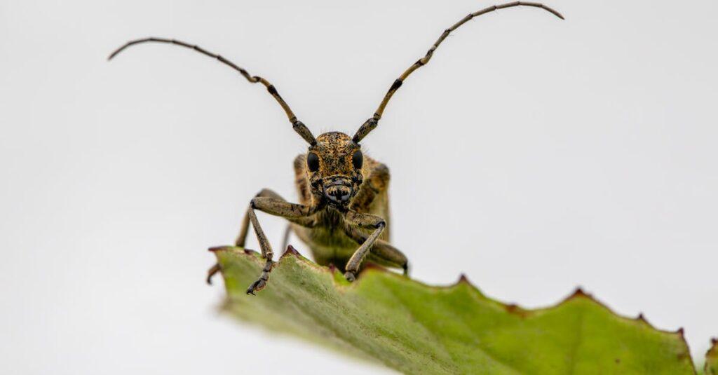 Les enfants distraits deviennent des adultes amoureux uniques découvrez l'unicité de notre offre : des produits et services qui se démarquent par leur originalité et leur qualité exceptionnelle. ne manquez pas l'occasion de vivre une expérience unique !