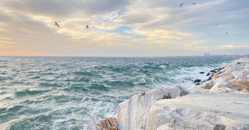 découvrez les différentes facettes de l'agitation, ses causes, ses manifestations et comment la gérer au quotidien pour retrouver sérénité et équilibre.
