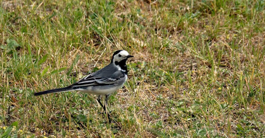 Comprendre le comportement antisocial chez les adultes en 2025 découvrez ce qu'est le comportement antisocial, ses causes, ses manifestations et les solutions pour y faire face. apprenez à reconnaître les signes et à comprendre l'impact de ces comportements sur la société et les individus.