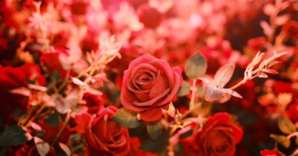 découvrez les enjeux de la manipulation émotionnelle, communément appelée chantage émotionnel. apprenez à identifier ces comportements toxiques et à protéger votre bien-être dans vos relations personnelles et professionnelles.