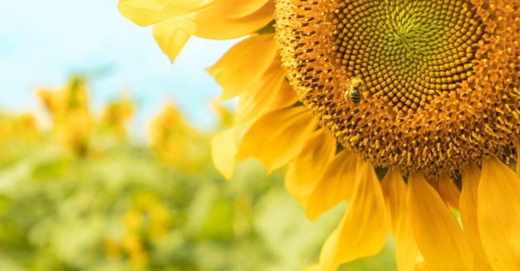 découvrez le syndrome de la tête qui explose, un phénomène surprenant associé à des bruits soudains ou des sensations vives pendant le sommeil. apprenez-en davantage sur ses causes, ses symptômes et comment le gérer pour une meilleure qualité de sommeil.