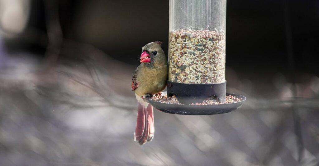découvrez le syndrome de la tête explosée, un phénomène étonnant qui se manifeste par des bruits soudains et des sensations étranges lors de l'endormissement. explorez ses causes, ses symptômes et comment il affecte le sommeil.
