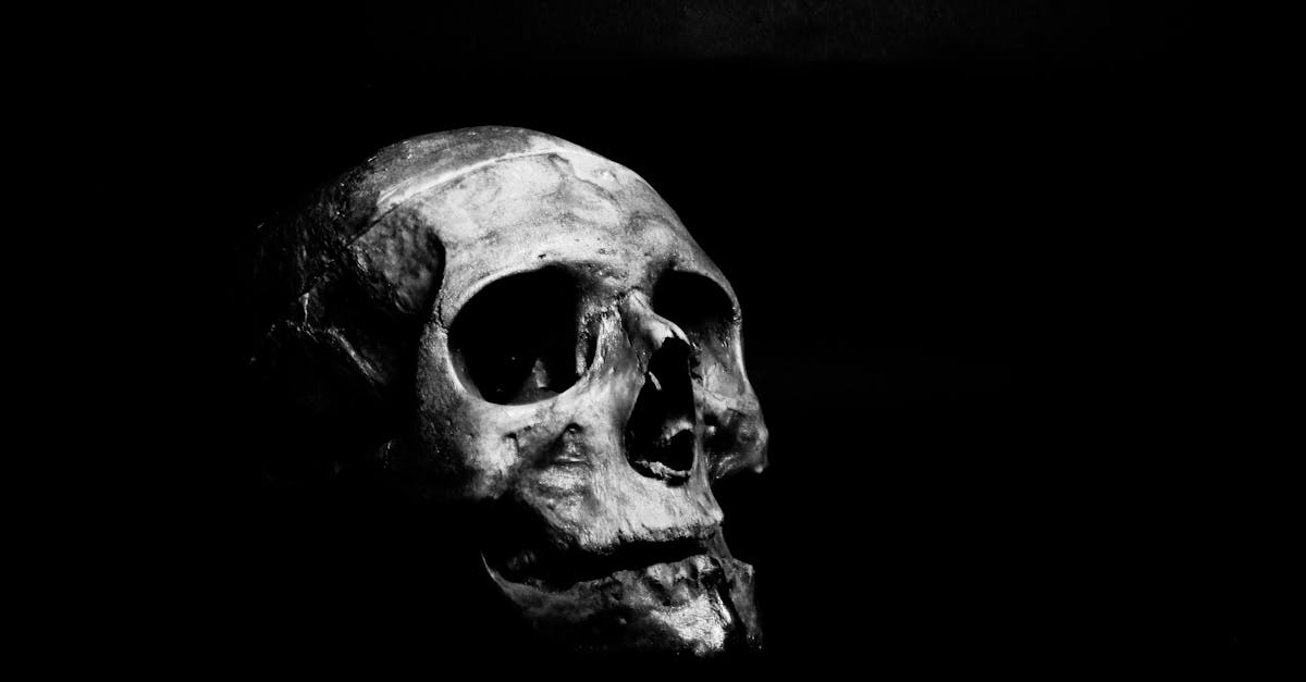 découvrez les origines et l'impact de la peur du noir dans notre société. apprenez à surmonter cette phobie avec des conseils pratiques et des stratégies efficaces pour retrouver votre sérénité nocturne.
