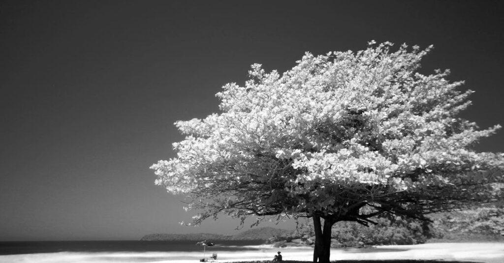 découvrez les facettes de la solitude, un état souvent mal compris. explorez ses dimensions émotionnelles, ses impacts sur la santé mentale et les moyens de la surmonter. plongez dans une réflexion profonde sur l'isolement et la quête de soi.