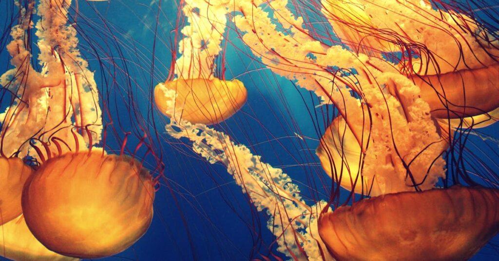 Les qualités sous-estimées qui rendent une personne sexy découvrez les qualités sous-estimées qui font toute la différence dans la vie personnelle et professionnelle. apprenez comment ces caractéristiques souvent négligées peuvent enrichir vos relations et booster votre succès. explorez des insights inspirants sur la valeur des qualités moins reconnues.