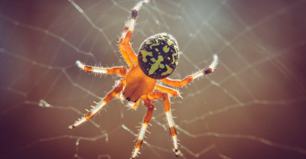 découvrez l'arachnophobie, la peur intense des araignées, ses symptômes, ses causes et les méthodes efficaces pour la surmonter. informez-vous sur les traitements disponibles et comment vivre sereinement face à cette phobie.