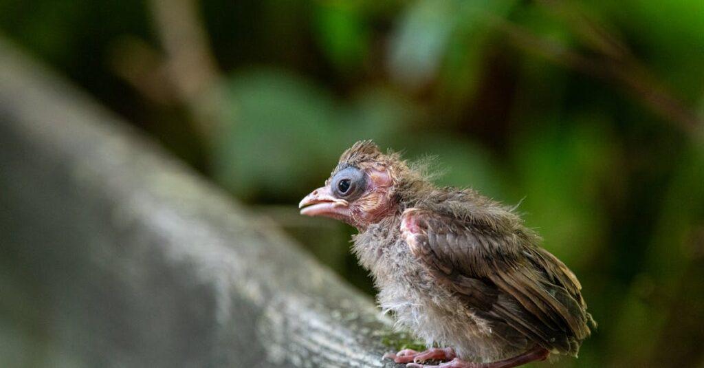 découvrez le phénomène du baby blues, ses symptômes et comment le surmonter. apprenez à reconnaître ce passage difficile après la naissance et à trouver du soutien pour vivre la maternité sereinement.