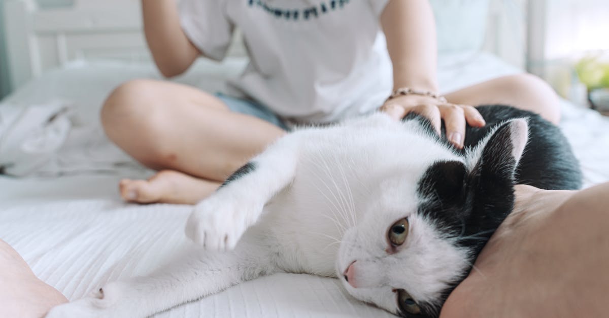 découvrez le principe du plaisir, une notion clé en psychologie qui explore la recherche du plaisir et l'évitement de la douleur dans le comportement humain. plongez dans les implications de cette théorie sur notre prise de décision et notre bien-être.