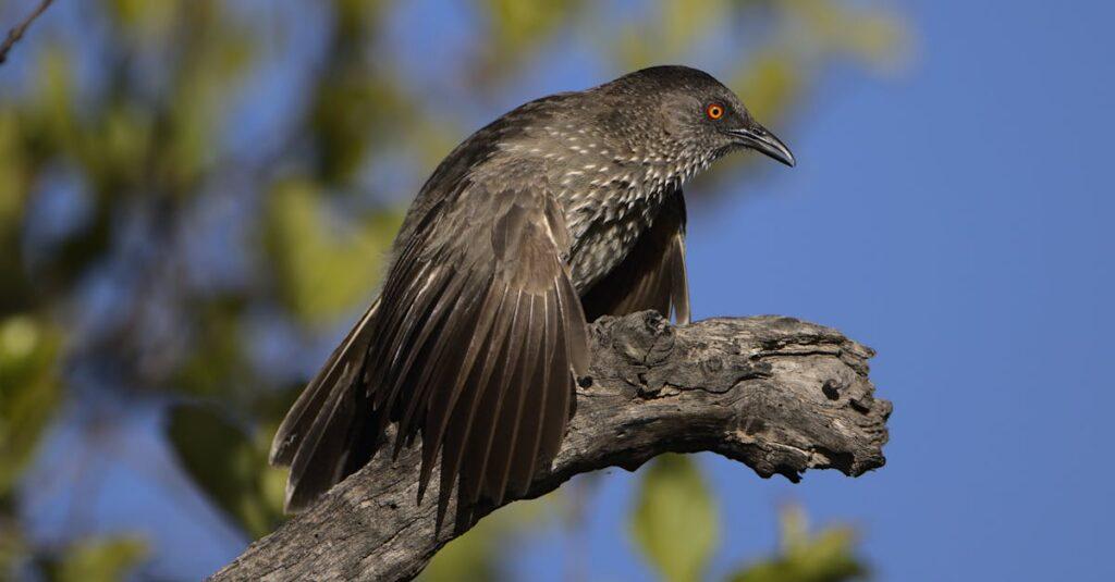 Pourquoi pouvons-nous avoir un comportement autodestructeur ? 7 façons de gérer cette attitude découvrez les comportements autodestructeurs : causes, conséquences et solutions pour surmonter cette souffrance. apprenez à reconnaître les signes et à adopter des stratégies positives pour améliorer votre bien-être.