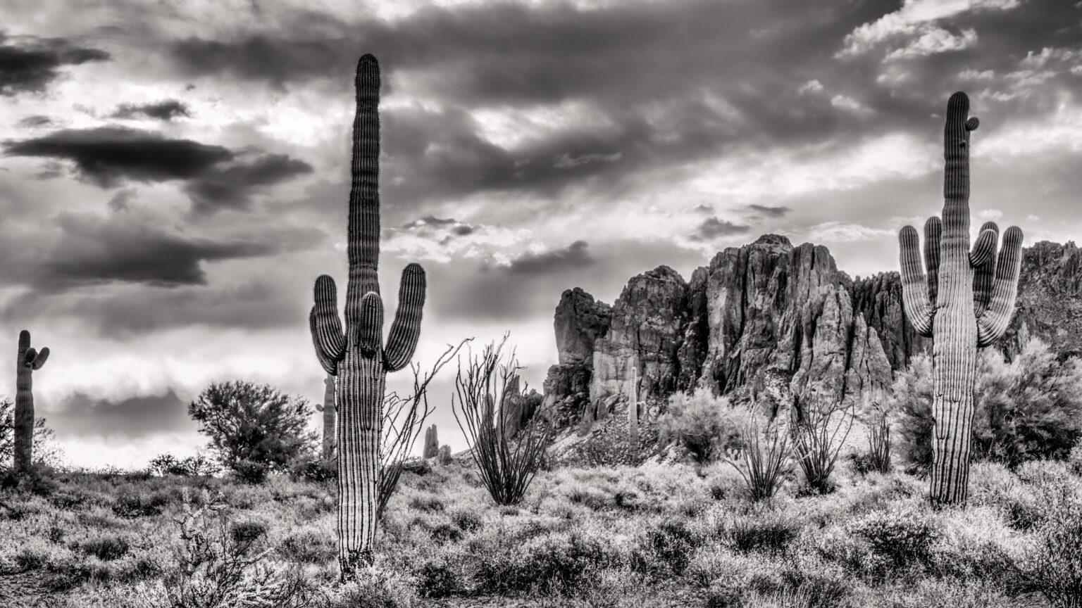 Superstition Sunrise: Superstition Mountains, Arizona