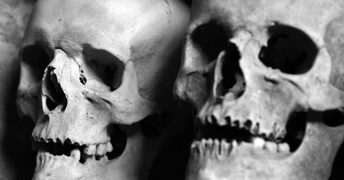 découvrez comment surmonter la peur de la mort, une émotion universelle qui touche chacun d'entre nous. apprenez des stratégies pour vivre pleinement et affronter vos angoisses, tout en explorant des perspectives philosophiques et psychologiques sur ce sujet complexe et incontournable.