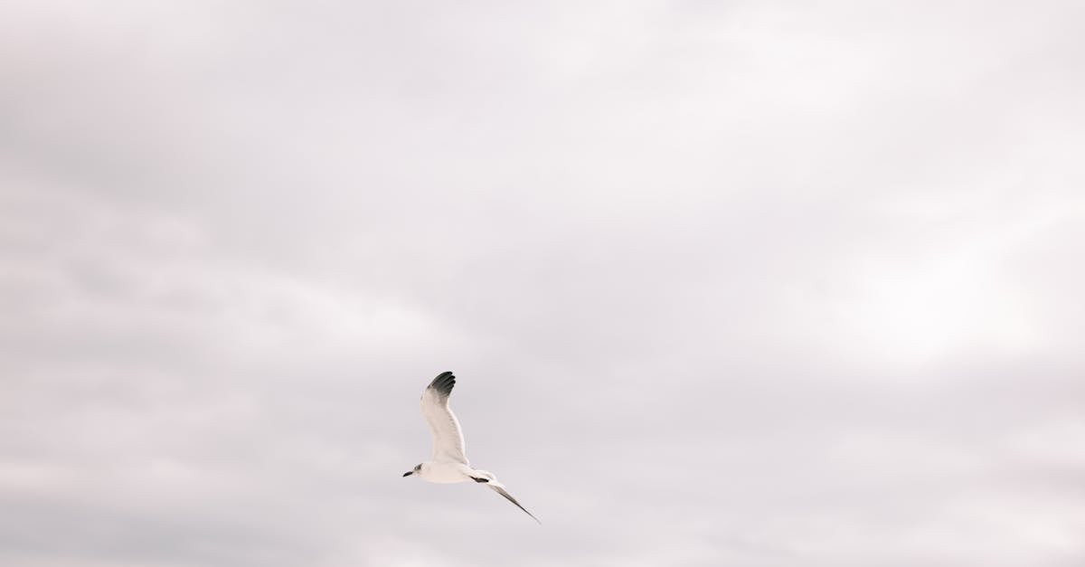 découvrez comment surmonter la peur de l'avion avec des conseils pratiques, des techniques de relaxation et des stratégies efficaces pour apprivoiser votre anxiété et voyager l'esprit tranquille.