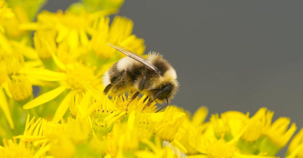 Soignez votre peur de l’avion grâce à l’hypnose découvrez comment surmonter la peur de l'avion avec des conseils pratiques et des stratégies éprouvées. apprenez à gérer votre anxiété et à transformer votre expérience de vol en un moment agréable.