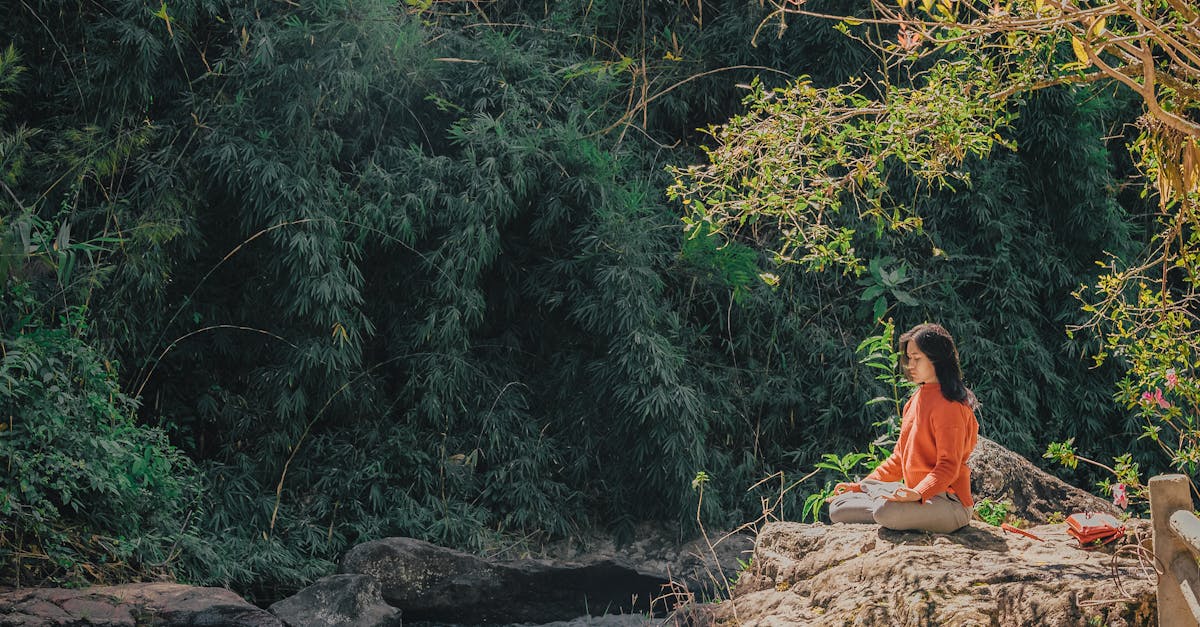 découvrez les bienfaits de la méditation pour votre bien-être mental et physique. apprenez des techniques simples pour réduire le stress, améliorer votre concentration et trouver la paix intérieure. rejoignez-nous pour un voyage apaisant vers une vie plus équilibrée.