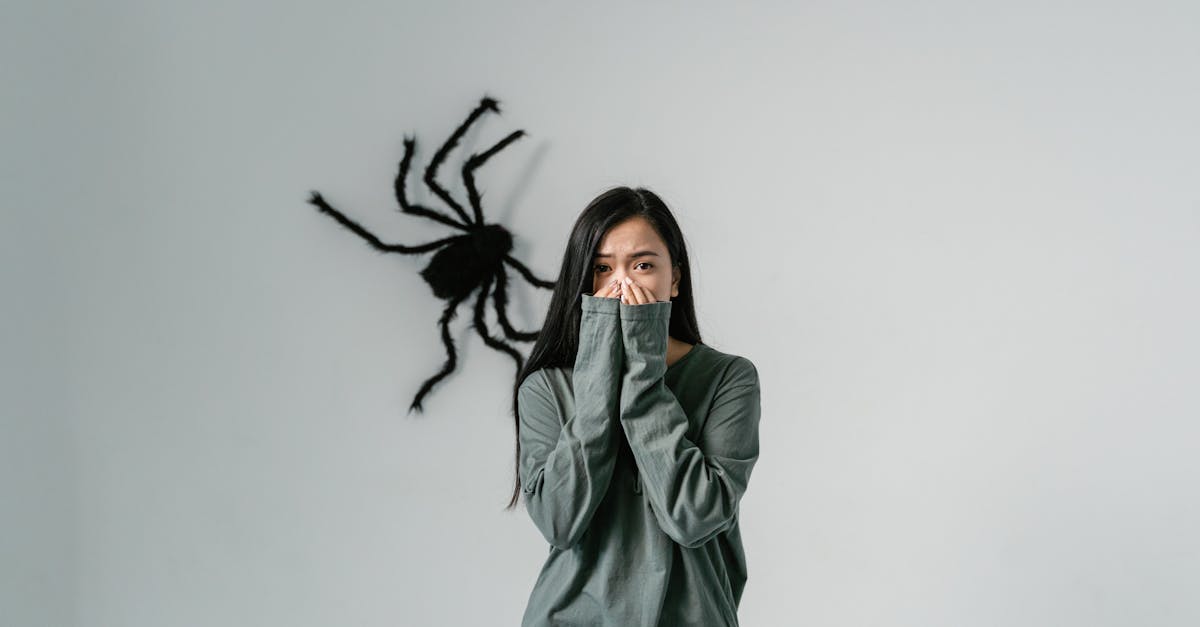 découvrez tout sur la spidérophobie, une peur irrationnelle des araignées. apprenez à identifier ses symptômes, ses causes et les méthodes efficaces pour surmonter cette phobie. transformez votre relation avec les araignées et retrouvez votre sérénité.
