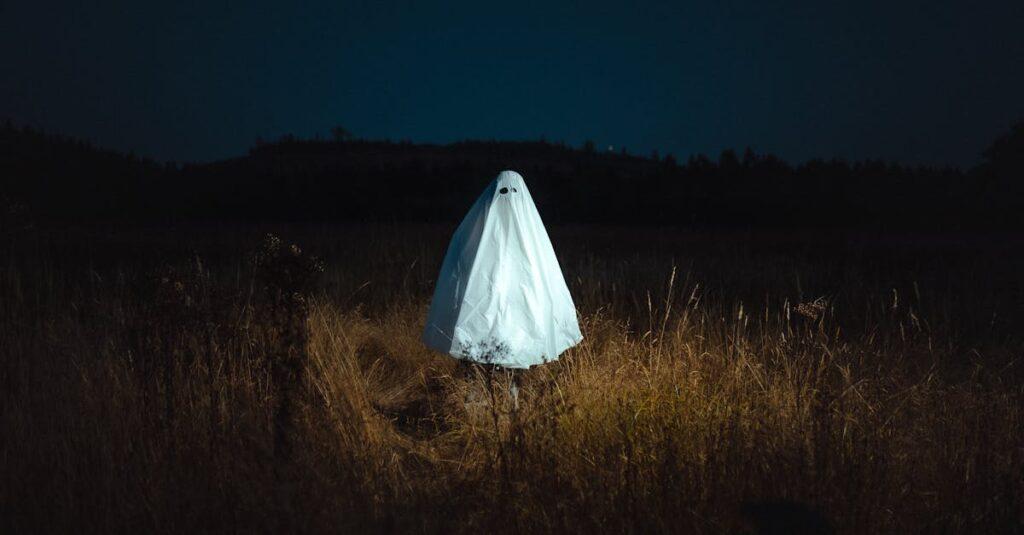 découvrez comment vaincre la peur de l'avion avec des conseils pratiques, des astuces et des techniques pour voyager plus sereinement et profiter pleinement de chaque vol.