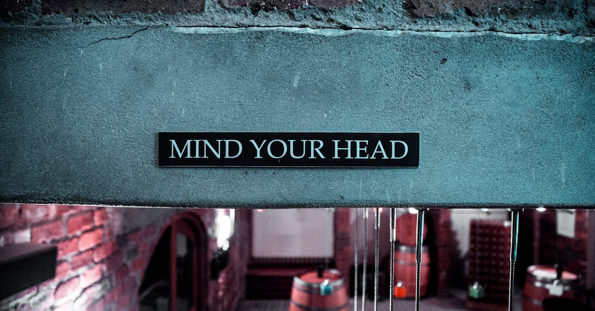 découvrez l'importance de la mindfulness pour améliorer votre bien-être mental et émotionnel. apprenez des techniques simples pour cultiver la pleine conscience dans votre vie quotidienne et réduire le stress.