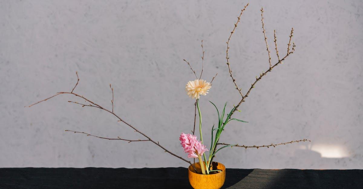 découvrez des conseils et des techniques efficaces pour mieux gérer l'anxiété au quotidien, réduire le stress et retrouver votre bien-être émotionnel.