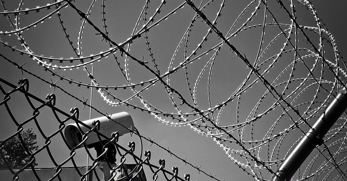 découvrez tout ce qu'il faut savoir sur le contrôle : définitions, méthodes, outils et conseils pour maîtriser vos processus et améliorer la performance de votre entreprise.