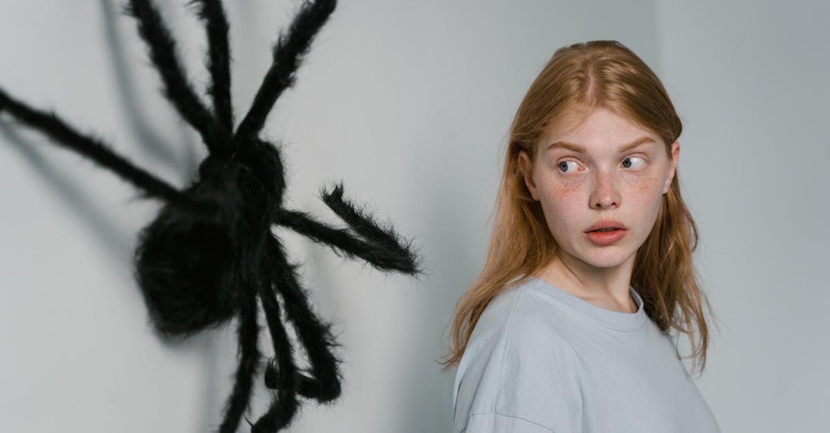 découvrez tout ce qu’il faut savoir sur la phobie : définition, symptômes, causes possibles et solutions pour dépasser ses peurs irrationnelles. conseils et informations pour mieux comprendre les phobies en psychologie.