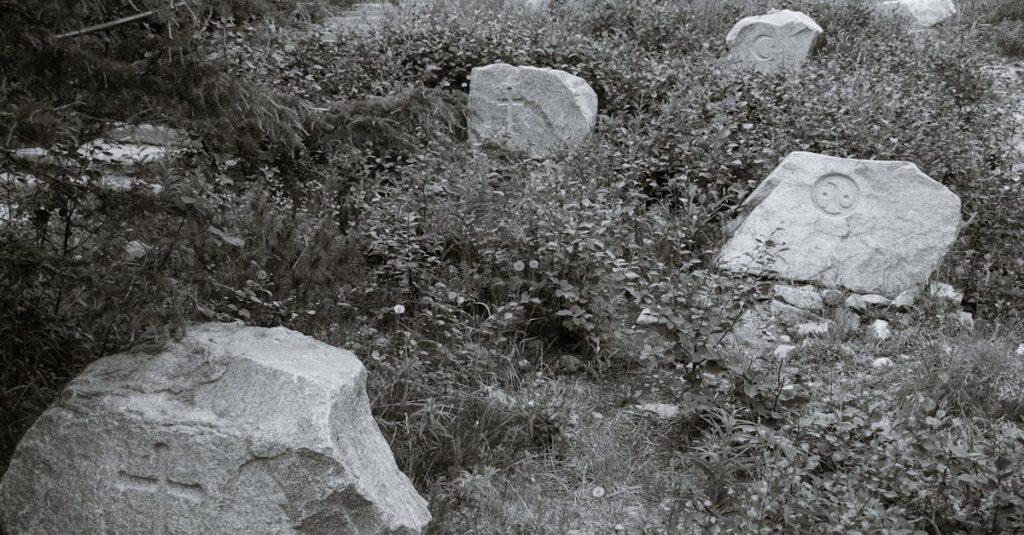 Comprendre le refoulement originaire : enjeux et implications en psychologie découvrez la signification de la répression, ses causes, ses formes et ses conséquences, ainsi que son impact sur la société et les droits individuels.