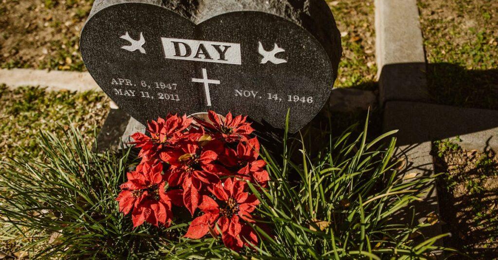 découvrez les causes, symptômes et solutions pour lutter contre la dépression saisonnière et retrouver votre bien-être pendant les changements de saison.