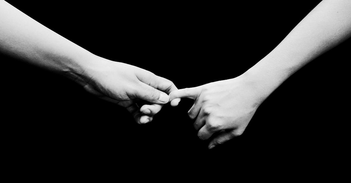 découvrez le sens de la solidarité, ses formes et son importance dans la construction d'une société plus juste et solidaire. explorez des exemples concrets et des conseils pour renforcer l'entraide au quotidien.