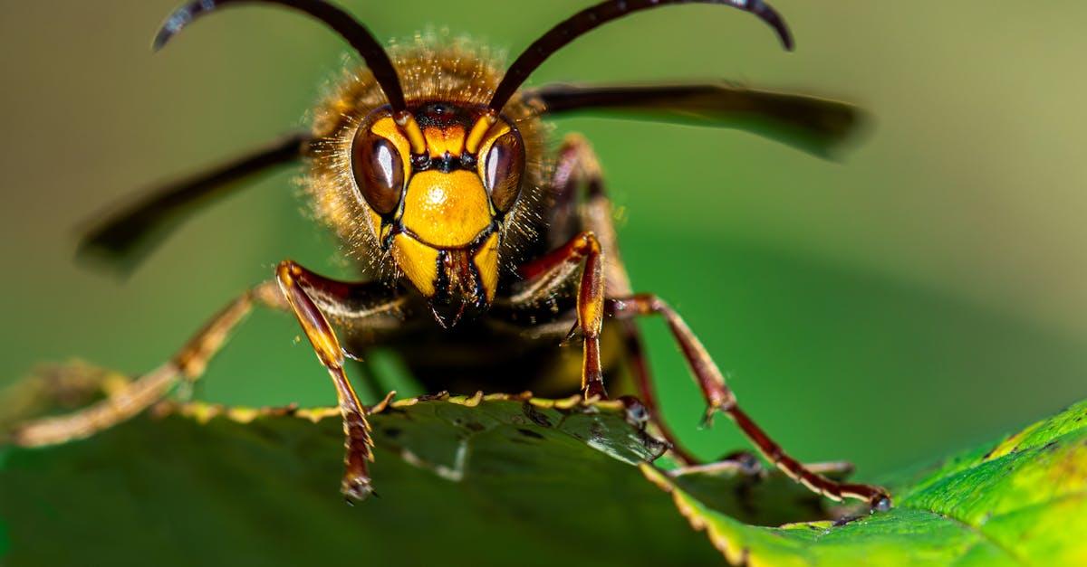 découvrez le behaviorisme, une théorie en psychologie qui explique le comportement humain et animal à travers l'observation des actions et des réactions aux stimulus de l’environnement.