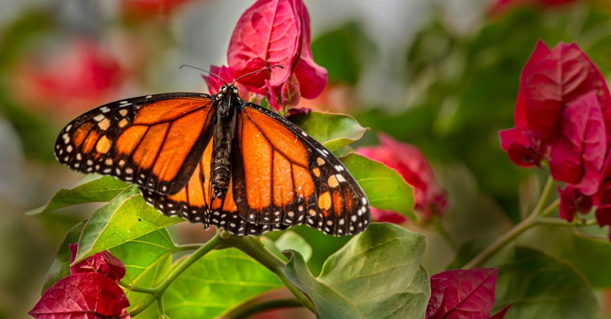 découvrez la taxonomie de bloom, un outil pédagogique essentiel pour structurer les niveaux de compétence et d’apprentissage, de la mémorisation à la création, afin de favoriser la réussite éducative.