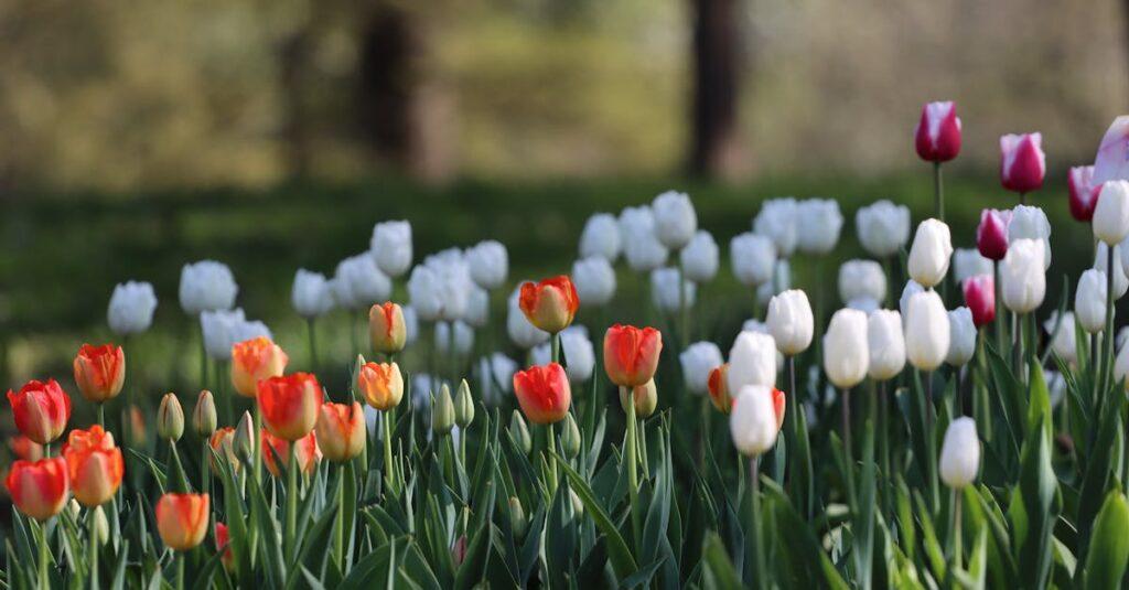 La Taxonomie de Bloom : Un Guide pour Évaluer et Stimuler l’Apprentissage découvrez la taxonomie de bloom, une classification des niveaux d'apprentissage qui aide à structurer les objectifs pédagogiques, favoriser la compréhension et améliorer l'évaluation des compétences des étudiants.