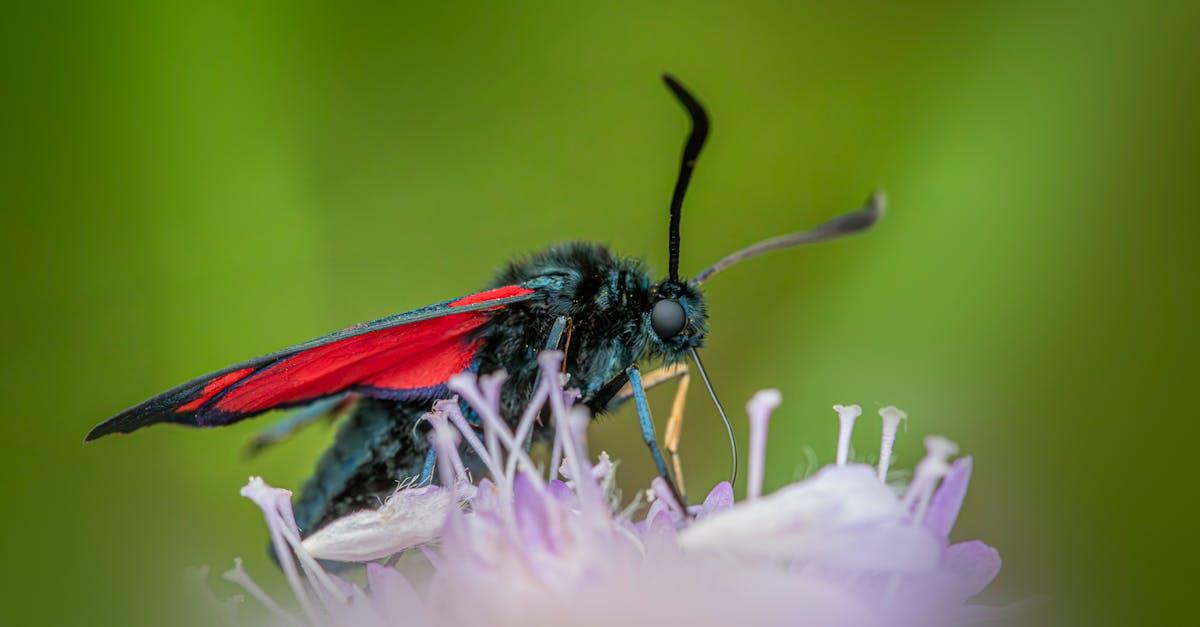 découvrez la taxonomie de bloom, un outil pédagogique essentiel pour structurer et évaluer les objectifs d'apprentissage, allant de la mémorisation à la création, afin d'optimiser l'enseignement et la progression des élèves.