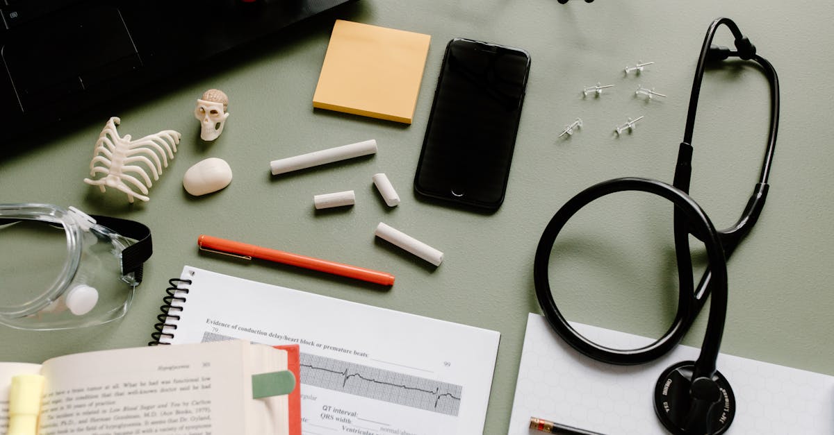 découvrez les différentes divisions du cerveau, leurs fonctions principales et leur rôle dans le fonctionnement global du système nerveux. une explication claire pour mieux comprendre l'organisation cérébrale.