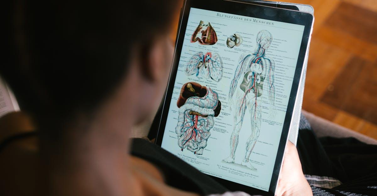 découvrez l'anatomie d'un neurone : explorez la structure, les principales parties (corps cellulaire, axone, dendrites) et leur rôle essentiel dans la transmission de l'influx nerveux.