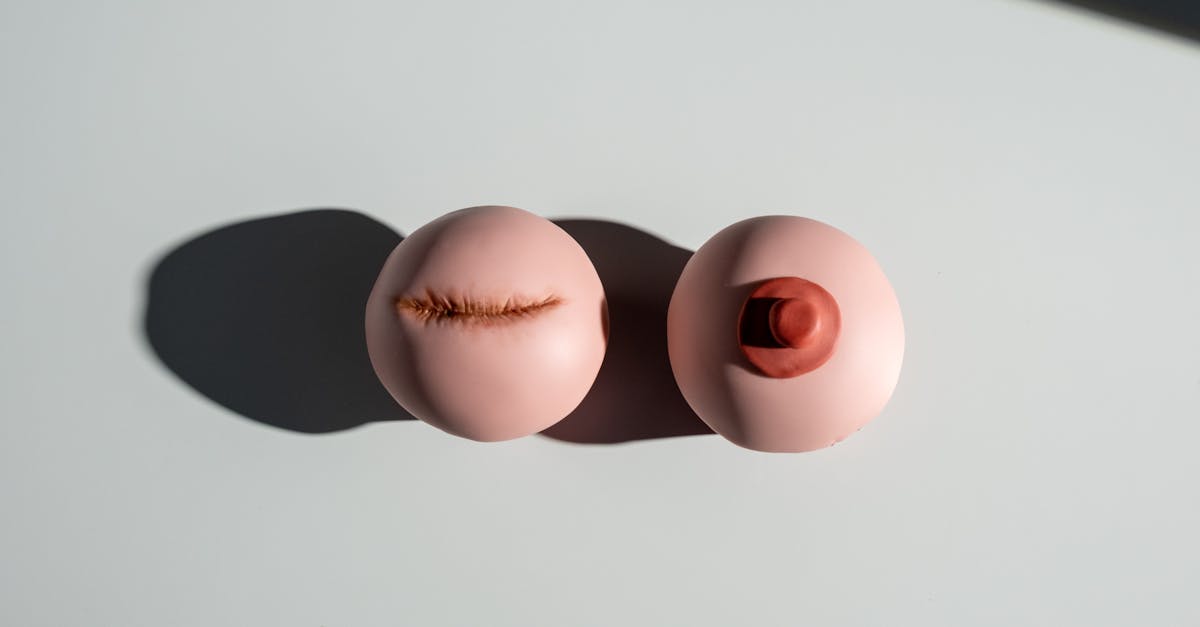 découvrez l'anatomie du neurone : ses différentes parties, leur fonction et leur rôle essentiel dans la transmission des signaux nerveux au sein du système nerveux.