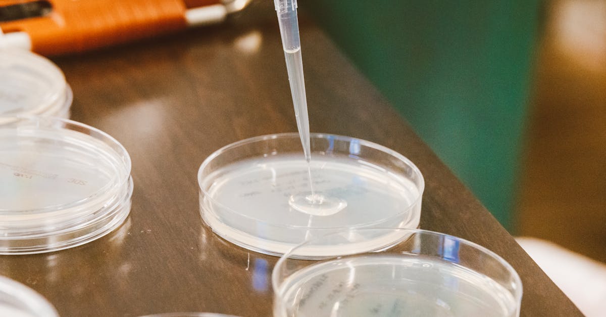 découvrez la méthode scientifique : ses étapes clés, son importance pour la recherche et comment elle permet d’analyser et de comprendre le monde de façon rigoureuse et objective.