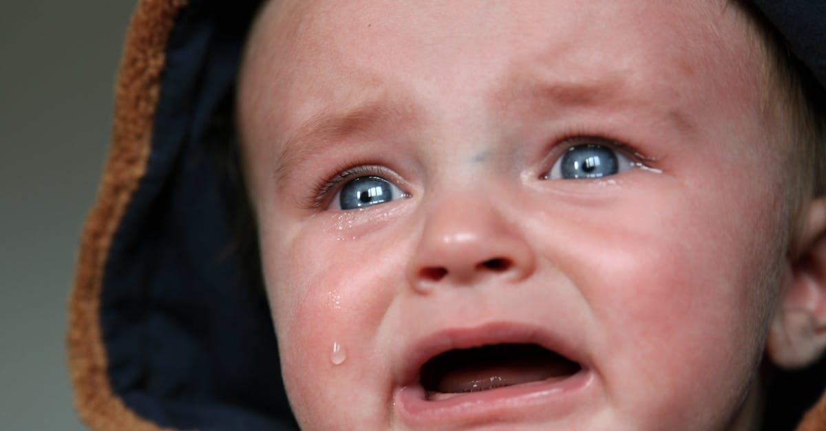 découvrez ce que sont les périodes sensibles, ces moments clés du développement chez l’enfant où l’apprentissage se fait plus facilement. comprenez leur importance pour favoriser le potentiel de chaque enfant.