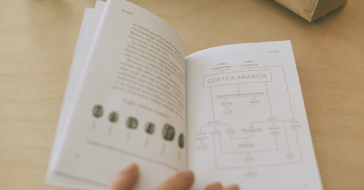 découvrez nos guides d'étude complets pour vous aider à réussir vos examens. conseils, résumés et ressources adaptés à chaque matière pour optimiser votre apprentissage.
