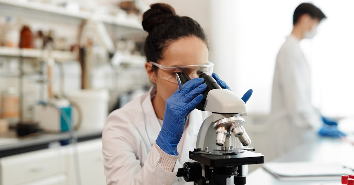 découvrez l'expérience de la poupée bobo, une étude célèbre en psychologie menée par albert bandura, qui met en lumière l'apprentissage social et l'influence du comportement des adultes sur les enfants.