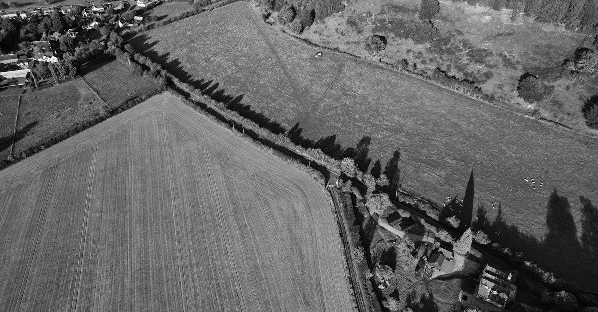 découvrez le trouble borderline : causes, symptômes et traitements pour mieux comprendre et accompagner les personnes concernées.