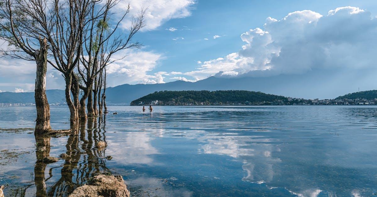 découvrez tout sur le trouble borderline : symptômes, causes, traitements et conseils pour mieux vivre avec ce trouble émotionnel complexe.