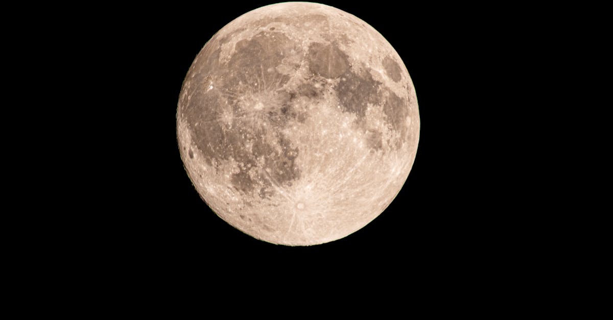 découvrez le syndrome du nid vide, ses causes, ses symptômes et comment le surmonter pour retrouver équilibre et bien-être après le départ des enfants.